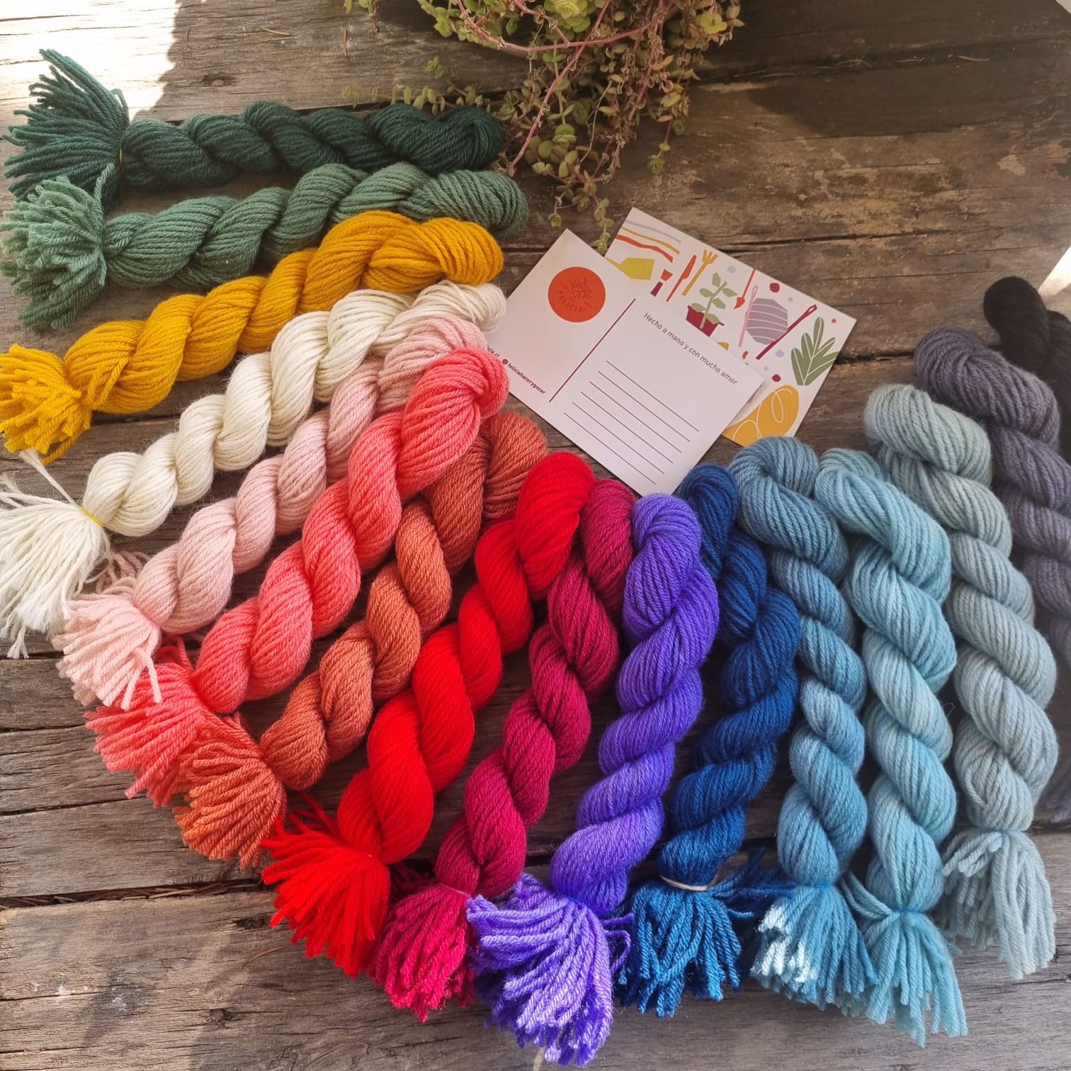 Lana Negra 25g